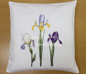 IRIS FLOWER  - 3